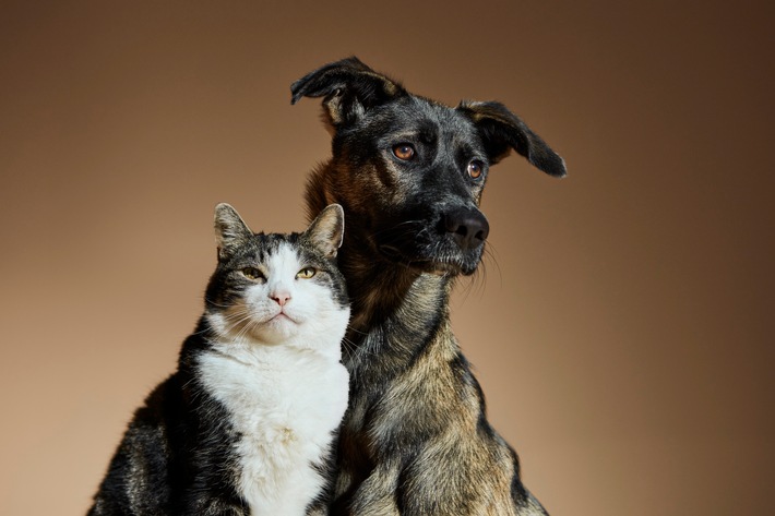 &quot;AdoptMe&quot; - I&#039;m real / Die Fondazione Capellino startet eine einzigartige, poetische Kampagne für eine Welt, in der keine Katze oder kein Hund in einem Tierheim leben muss