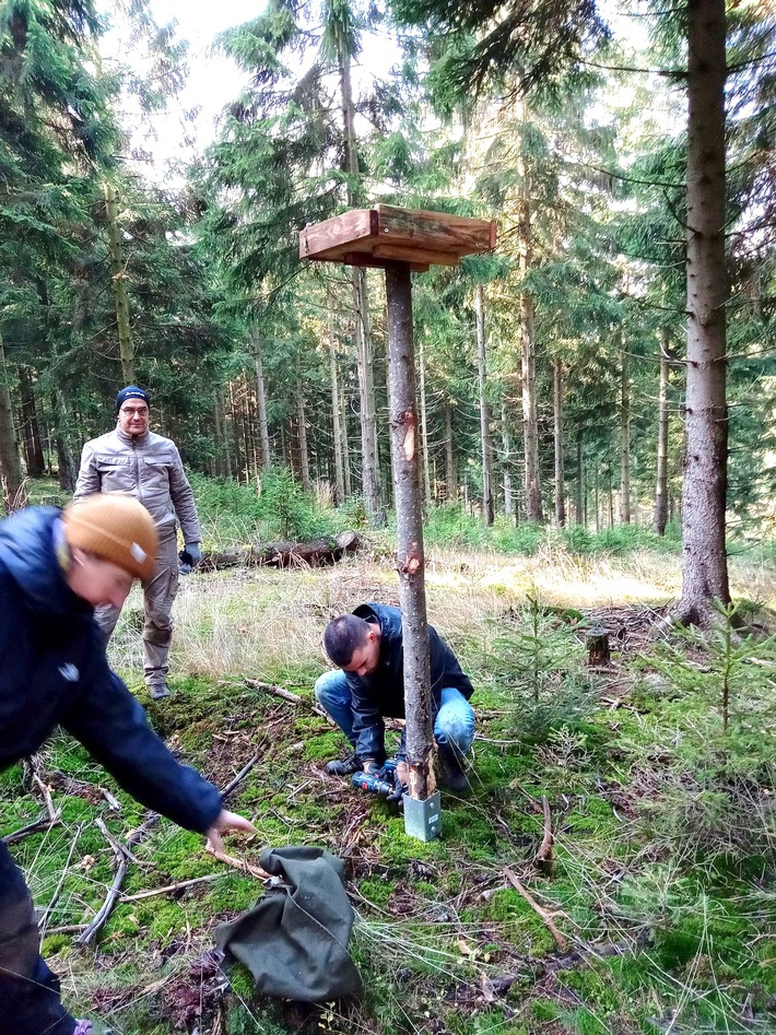 Über 30 Freiwillige mit dem Bergwaldprojekt im Einsatz für eine naturnahe Waldentwicklung im Zukunftswald Unterschönau