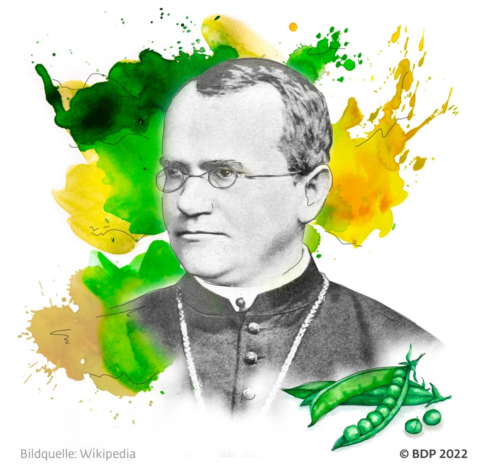 Kritischer Geist, Erbsenzähler und Vorbild - Gregor Mendel hat die Welt verändert / Zum 200. Geburtstag eines bescheidenen Genies