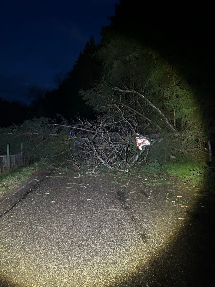 POL-PDLD: Windbruch legt Landstraße 490 lahm