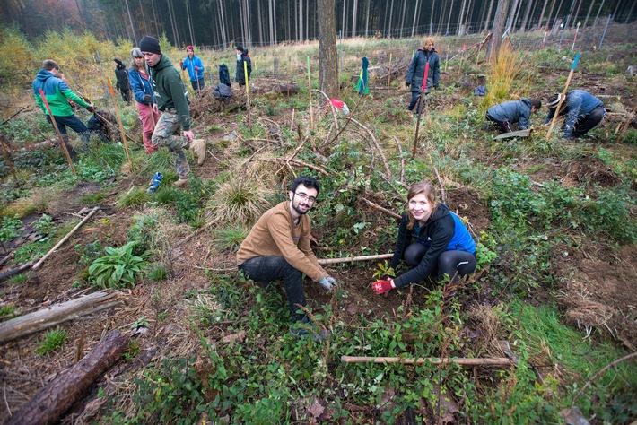 Bergwaldprojekt > Freiwillige pflanzen 200.000 Bäume in Deutschland