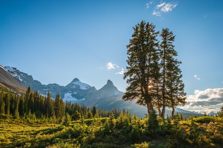 Natur Pur, bietet Authentigg nicht nur bei den Betten