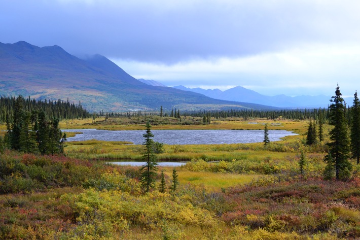 Von Vulkanen, Gletschern und wilden Küsten / ZDF-Dokumentation "Terra X" über Alaska (FOTO)