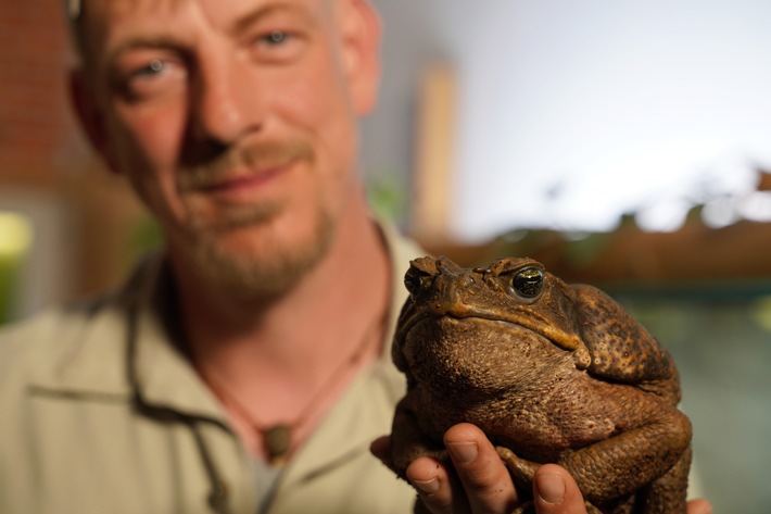 "planet e. pandemie" im ZDF: "Der Handel mit exotischen Wildtieren"