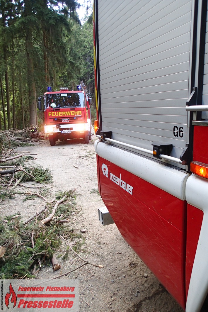 FW-PL: 4 Tage nach Waldbrand am Böhl erneut Feuerwehreinsatz in Kahlschlagfläche