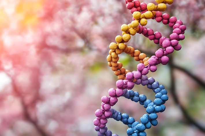 Mit dem ersten in der Routineversorgung behandelten Patienten beginnt in Deutschland ein neues Kapitel der Hämophilie-B-Versorgung. Die Gentherapie öffnet die Tür zu einem Ansatz, der an der Ursache ansetzt - und die Chance hat, das Leben und den Alltag der Patienten erheblich zu erleichtern. / Weiterer Text über ots und www.presseportal.de/nr/82137 / Die Verwendung dieses Bildes für redaktionelle Zwecke ist unter Beachtung aller mitgeteilten Nutzungsbedingungen zulässig und dann auch honorarfrei. Veröffentlichung ausschließlich mit Bildrechte-Hinweis. Mit dem ersten in der Routineversorgung behandelten Patienten beginnt in Deutschland ein neues Kapitel der Hämophilie-B-Versorgung. Die Gentherapie öffnet die Tür zu einem Ansatz, der an der Ursache ansetzt - und die Chance hat, das Leben und den Alltag der Patienten erheblich zu erleichtern. / Weiterer Text über ots und www.presseportal.de/nr/82137 / Die Verwendung dieses Bildes für redaktionelle Zwecke ist unter Beachtung aller mitgeteilten Nutzungsbedingungen zulässig und dann auch honorarfrei. Veröffentlichung ausschließlich mit Bildrechte-Hinweis.
