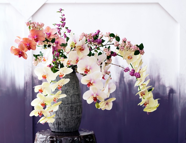 Orchideen verbreiten Schönheit und Harmonie / Positive Energie im Haus mit der Feng Shui Meisterin Orchidee