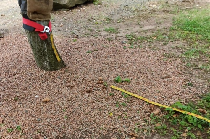 POL-PDKL: -Slackline durchtrennt - Wer macht so etwas?