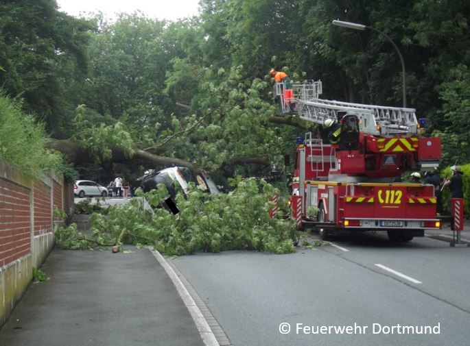 FW-DO: Baum begräbt Lieferwagen unter sich