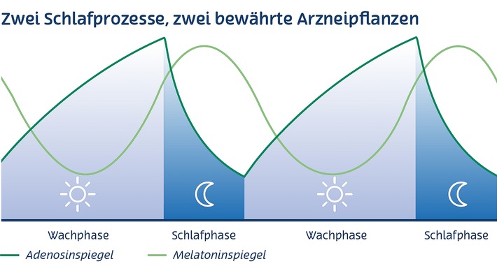 NEU: ALLUNA ist jetzt ALLUNA® Schlaf / Melatoninfrei zum natürlichen Schlafrhythmus zurückfinden