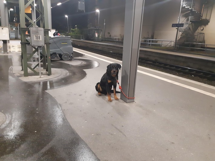 BPOL-HB: Rottweiler von überfordertem Hundekäufer im Bremer Hauptbahnhof angebunden