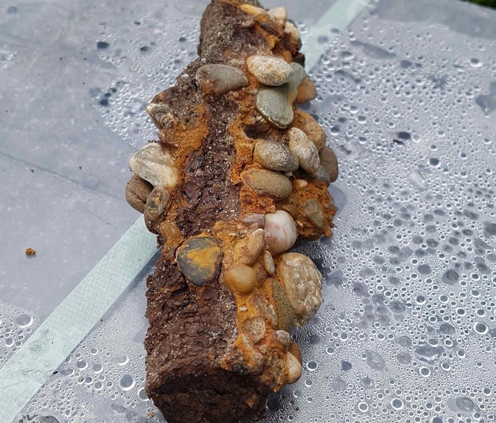 POL-PDNW: Granate im Garten gefunden