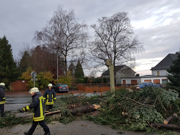 FW-EN: Baum auf Straße