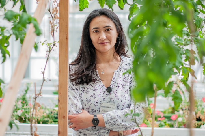 She deciphers how tomato roots communicate
