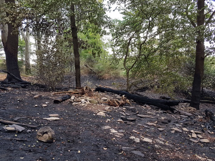 FW-E: Feuer im unwegsamen Unterholz auf über 30.000m²