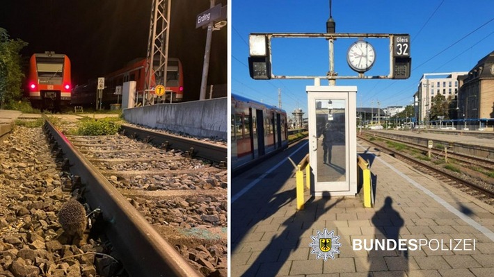 Bundespolizeidirektion München: E-Lastenrad aufgefunden - Sachbeschädigung in Abfertigungshäuschen - Geretteter Igel