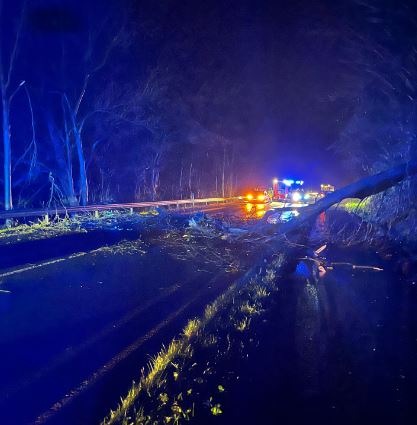 POL-WES: Xanten - Fahrender Pkw von Ast getroffen - Fahrer verletzt