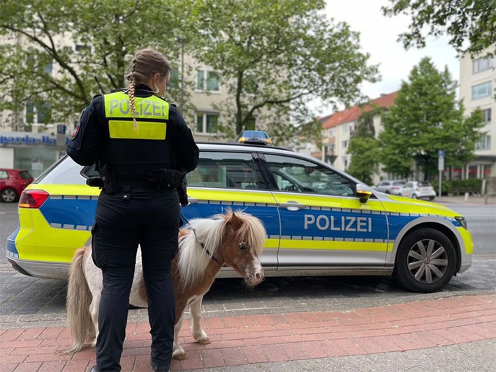 POL-H: Kurze Beine auf Abwegen: Entlaufenes Pony sorgt für Polizeieinsatz