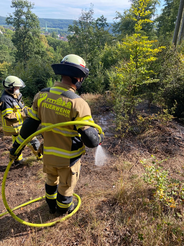 FW-EN: 50 m² Unterholz brennen im Wald - Feuerwehr Herdecke und Feuerwehr Wetter (Ruhr) im Einsatz.