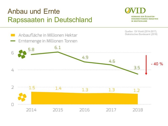 Alarmierender Trend: Deutscher Rapsertrag in den letzten fünf Jahren nahezu halbiert