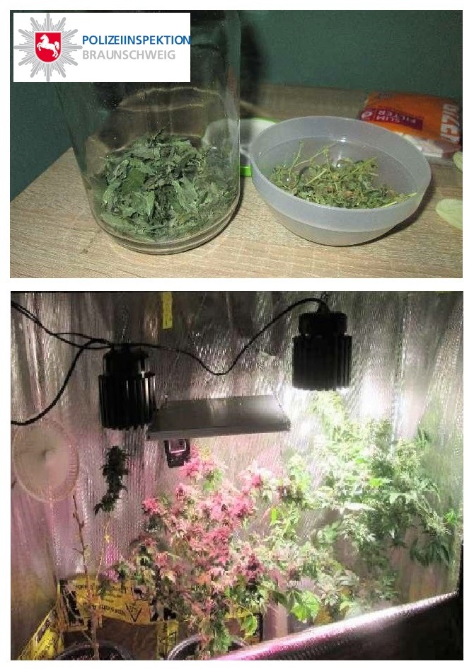 POL-BS: Cannabis-Plantage im Wohnzimmerschrank entdeckt