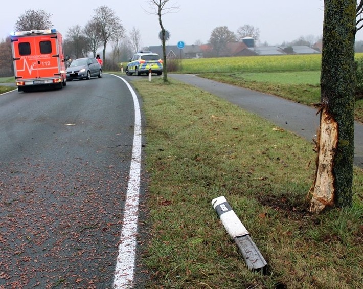 POL-MI: Autofahrer prallt gegen Baum