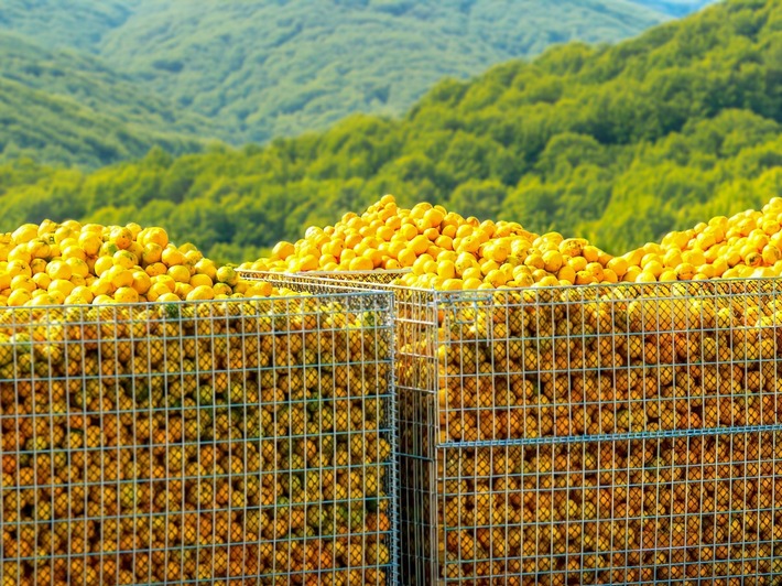 Der Appetit kommt beim Reisen: Japan von der fruchtigen Seite entdecken