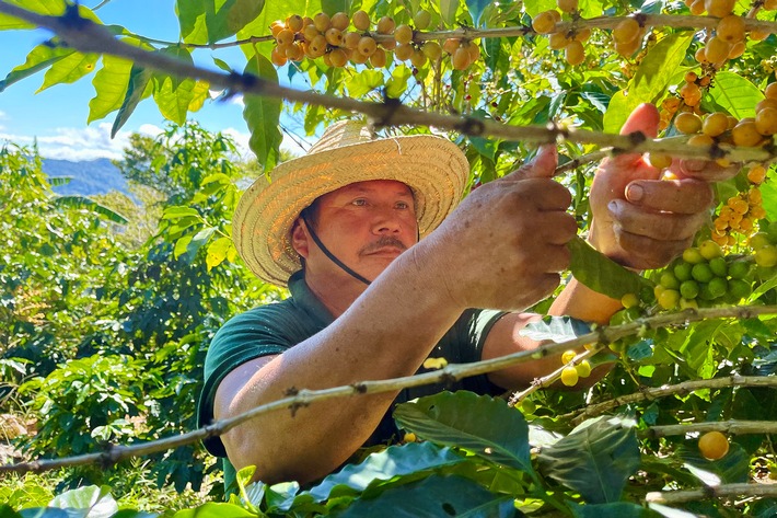 Das Beste von der Bohne: &quot;plan b&quot; im ZDF über Kaffeeinnovationen