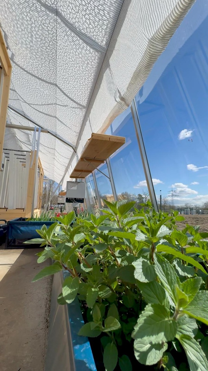 Vom Beet bis zur Biogasanlage - Caravanserei mit ganzheitlichem Naturkonzept