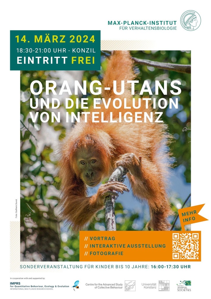 Orang-Utans und die Evolution von Intelligenz, PI Nr. 26/2024