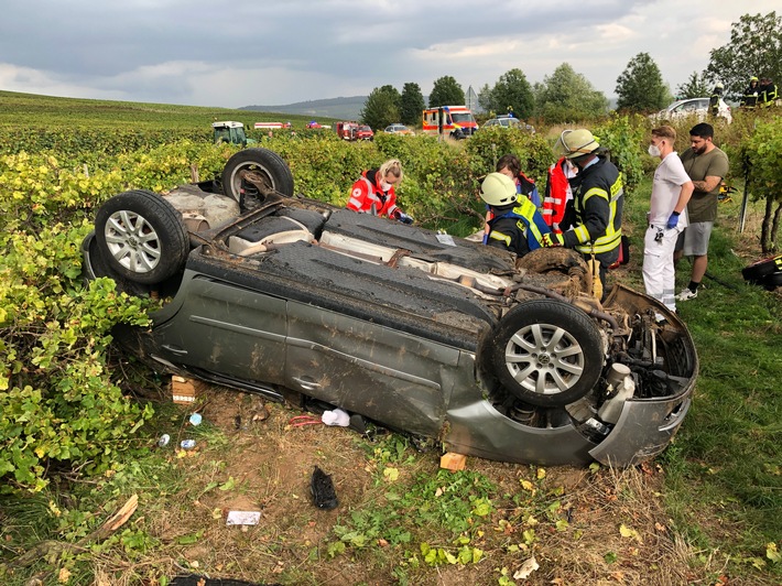 POL-PDKH: PKW-Fahrer landet in Weinbergen