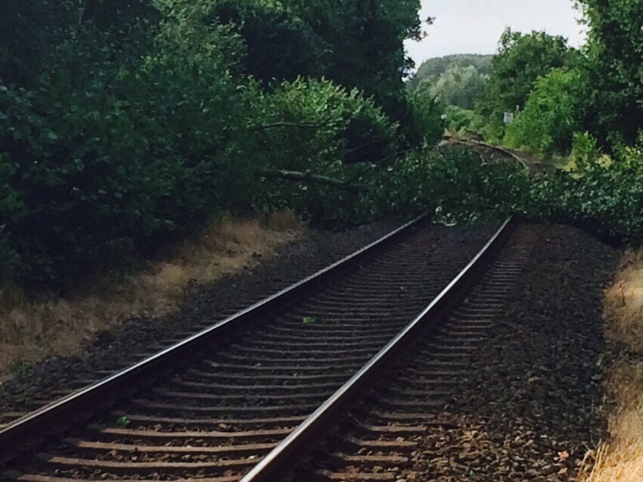FW-KLE: Umgestürzter Baum blockiert Bahngleise