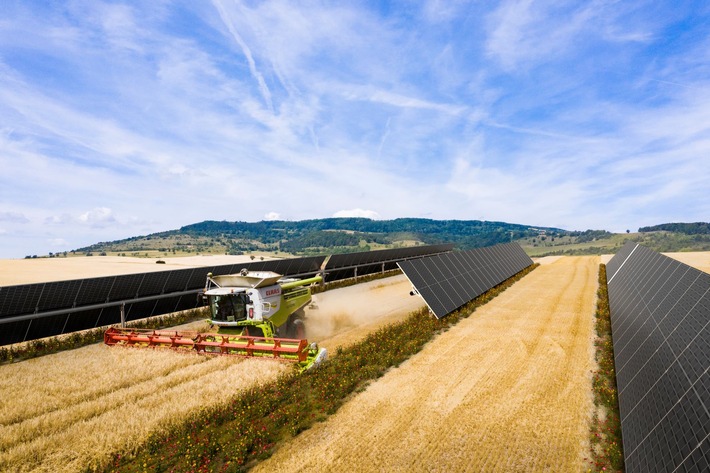 Spanischer Solarpark versorgt VELUX mit grüner Energie und kombiniert Agri-PV mit Biodiversität