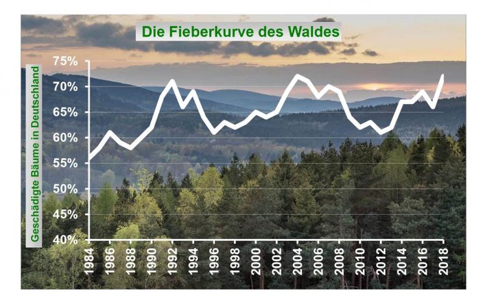 Waldzustandsbericht 2018: Schlechter ging es dem Wald noch nie