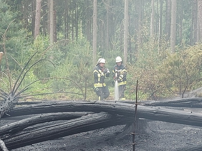 FW-ROW: Waldbrand endet Dank frühzeitiger Entdeckung glimpflich