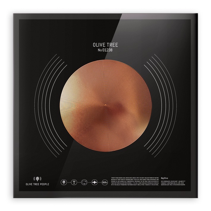 "Meine Olivenbäume sind jetzt online" - mit Hightech und Natur gegen Lifestyleerkrankungen