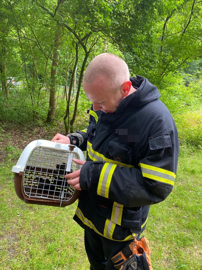FW-EN: Feuerwehr rettet drei Teichhühner
