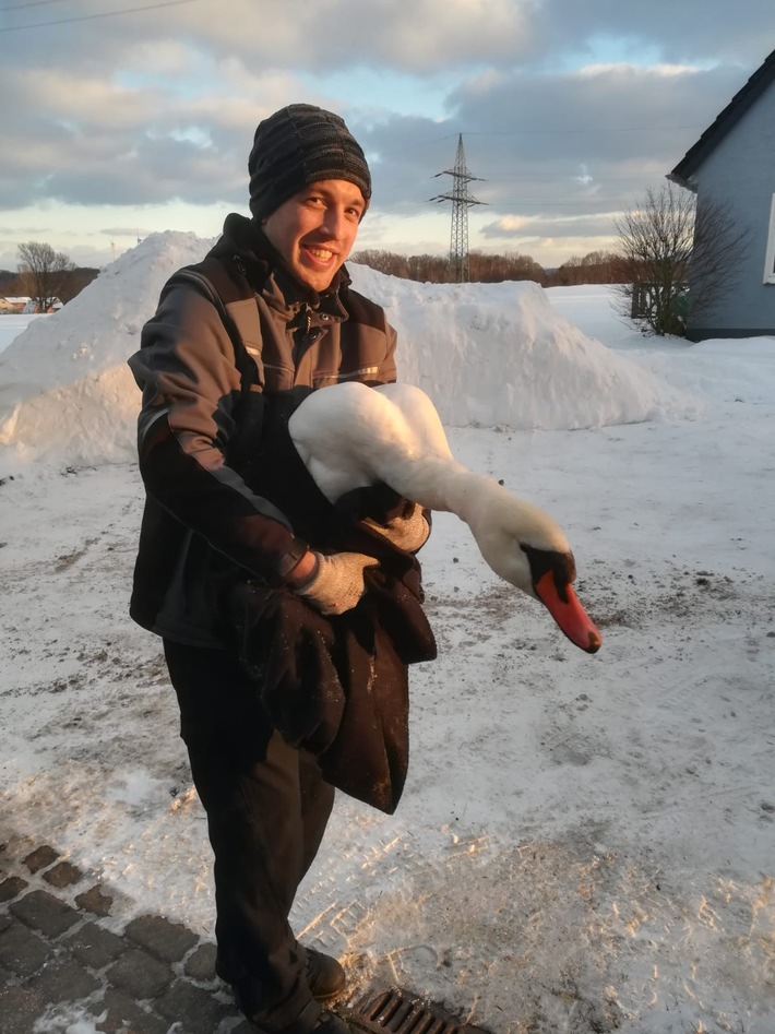 FW Lage: Tier in Notlage / Schwan nach Flug in Hochspannungsleitung abgestürzt - 11.02.2021 - 16:00 Uhr