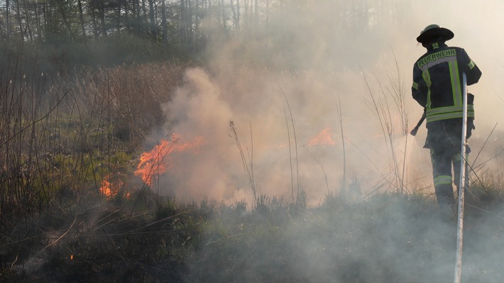 FW Celle: Rund 5.000 m² Schilf- und Grasland brennen in Celle