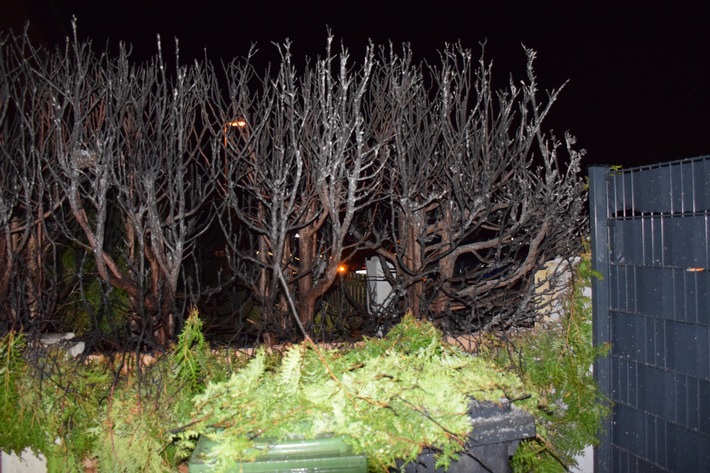 POL-HI: Brand einer hohe Zierhecke durch Feuerwerk