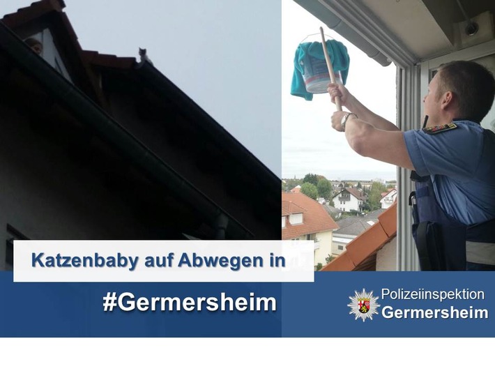 POL-PDLD: Tierrettung über den Dächern von Germersheim