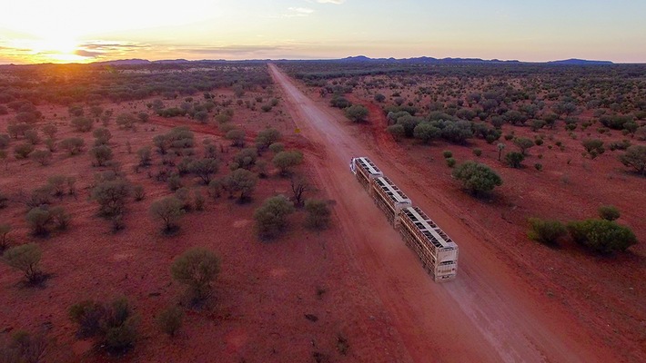 Reisereportage &quot;Härte, Herz und Dosenbier&quot; im ZDF: von Sydney ins australische Outback (FOTO)