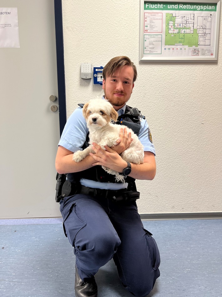 BPOL-HH: Altona: Hund läuft alleine auf Bahnsteig und in Supermärkten im Bahnhof umher - Bundespolizei übernimmt den Hund und ermittelt erfolgreich Besitzer