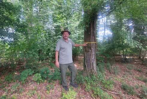 „Der Wald nimmt die Trauer für einen Augenblick“ - 1 Jahr FriedWald Starzach