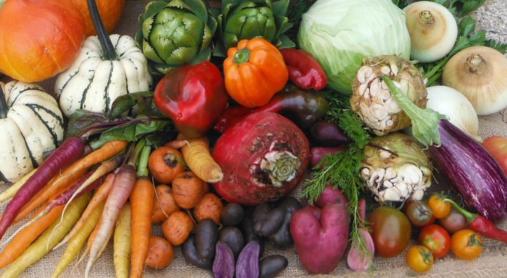 Bunt und lecker: Grillgenuss mit Gemüse und Obst / Vegetarische und vegane Lebensmittel eignen sich gut zum Grillen / Auf Biohöfen erfährt man mehr über die Herkunft vieler Grillzutaten