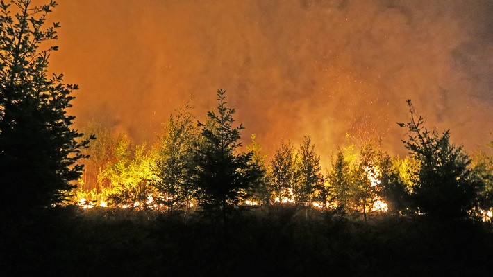 POL-ME: Größerer Waldbrand: Ursache ist noch unklar - Polizei bittet um Zeugenhinweise - Ratingen - 2106011