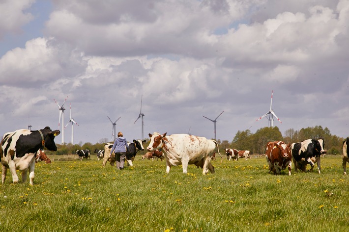 Nachhaltige Milchwirtschaft: Arla stellt jährlich bis zu 500 Millionen Euro für Klimaaktivitäten auf den Höfen bereit