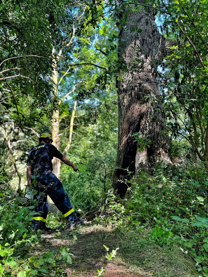 FW-NE: Baum durch THW gesprengt | Umfangreicher Einsatz in Reuschenberg