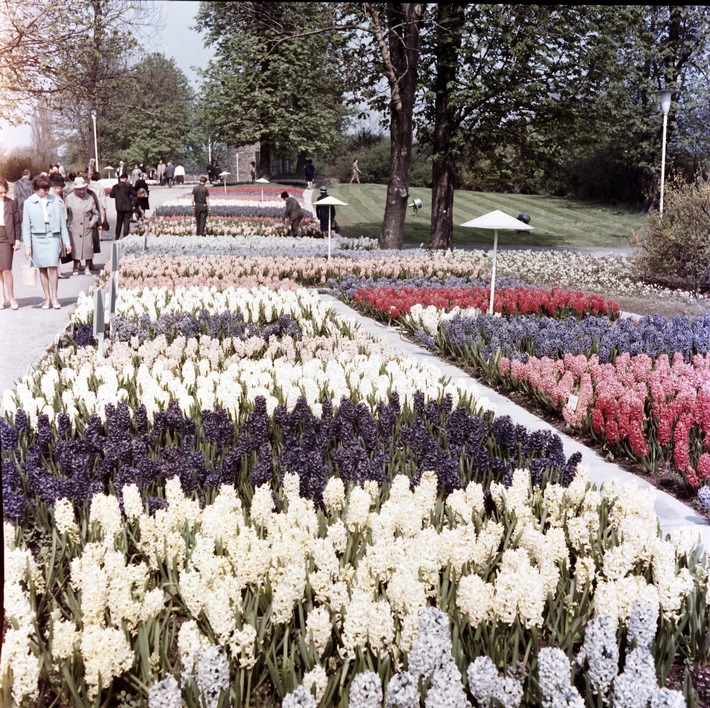Ein Garten der Moderne mit einer großen Geschichte: Der egapark Erfurt feiert in diesem Jahr sein 65. Jubiläum