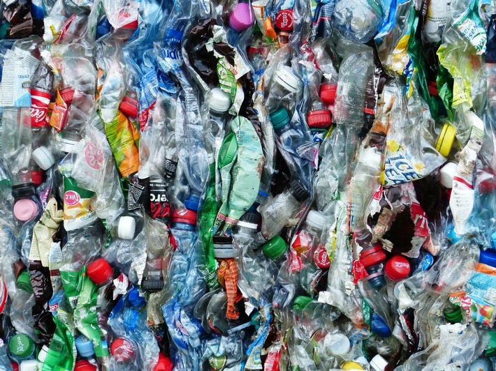 Gemeinsam gegen Mikroplastik: "LIFE Blue Lakes"-Projektstart macht Hoffnung